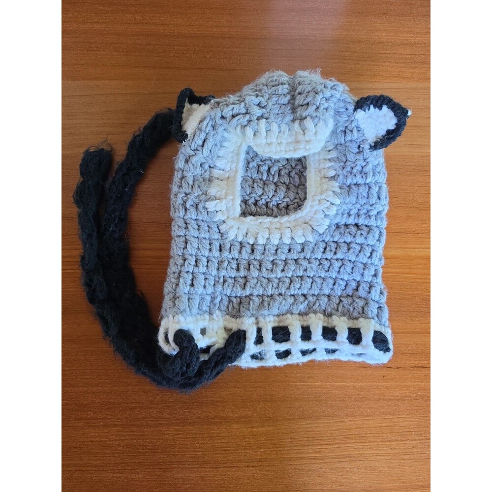 Kid's Knitted Hooded Winter Racoon Hat